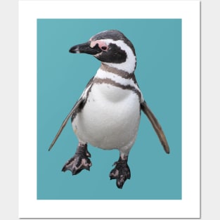 Quirky Penguin Posters and Art